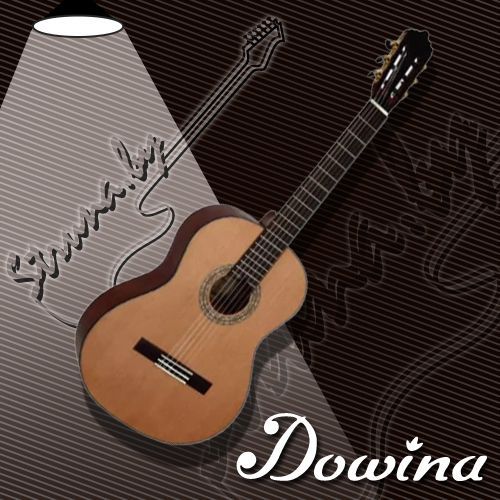 Классическая гитара Dowina Rustica СL