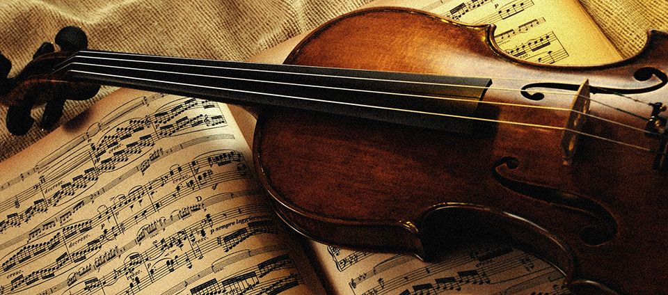 Как выбрать скрипку начинающему музыканту. Купить смычки для скрипки в Минске