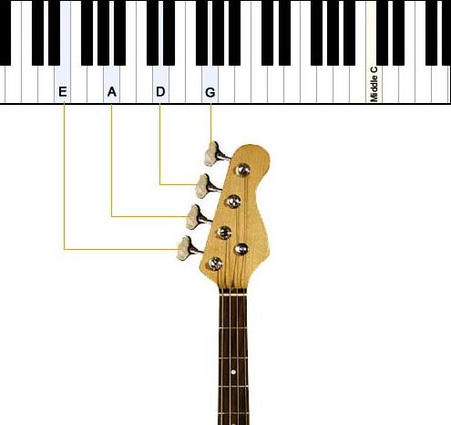 Как настроить бас-гитару в EADG при помощи камертона, тюнера, онлайн