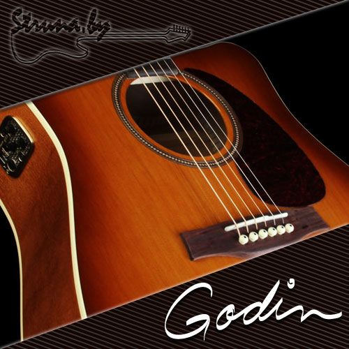 Акустическая гитара Seagull Entourage Rustic CW GT QI