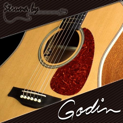 Акустическая гитара Seagull Artist Mosaic с DLX TRIC кейсом