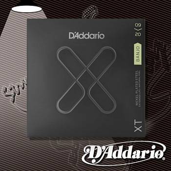 Струны для банджо D'addario XTJ0920