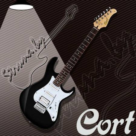 Электрогитара Cort G250 BK